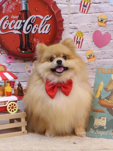 20230908梛都ちゃん